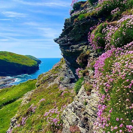 Polrunny Farm Blackberry Cottage - Cornwall Bliss In Sight Of The Sea Boscastle Ngoại thất bức ảnh