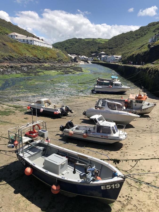 Polrunny Farm Blackberry Cottage - Cornwall Bliss In Sight Of The Sea Boscastle Ngoại thất bức ảnh