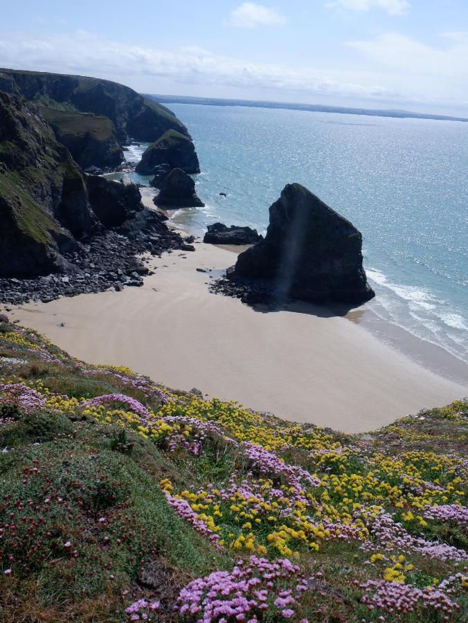 Polrunny Farm Blackberry Cottage - Cornwall Bliss In Sight Of The Sea Boscastle Ngoại thất bức ảnh