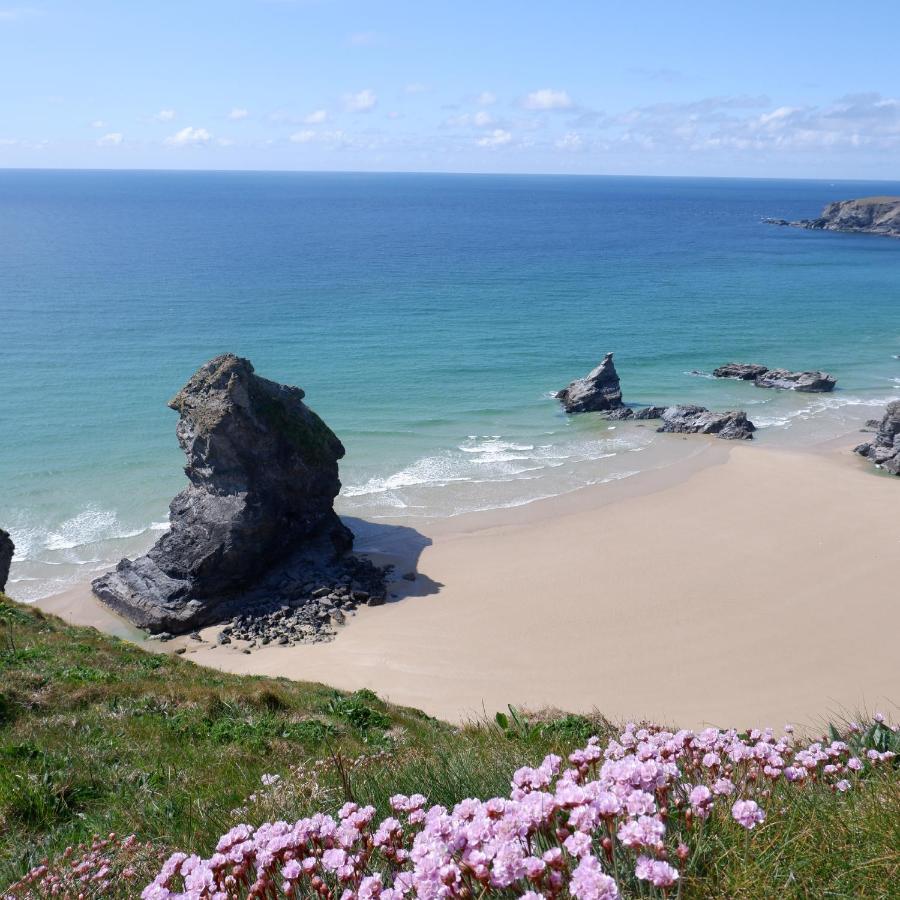 Polrunny Farm Blackberry Cottage - Cornwall Bliss In Sight Of The Sea Boscastle Ngoại thất bức ảnh