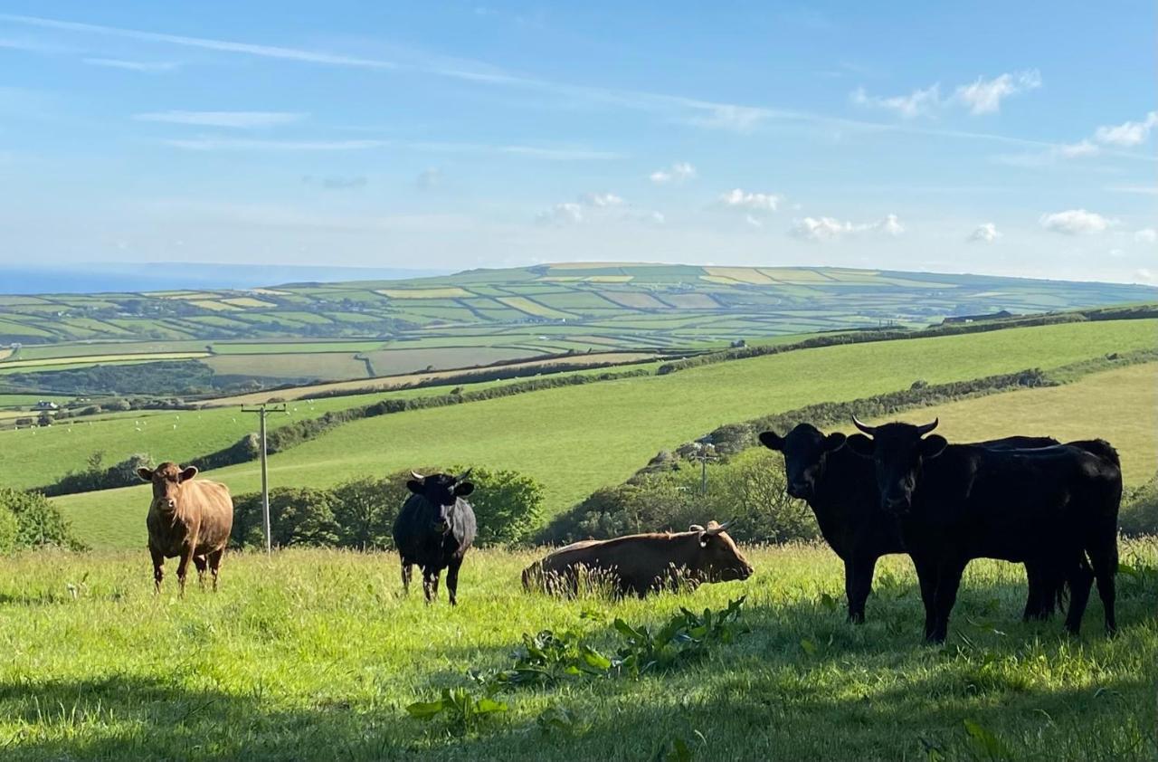 Polrunny Farm Blackberry Cottage - Cornwall Bliss In Sight Of The Sea Boscastle Ngoại thất bức ảnh