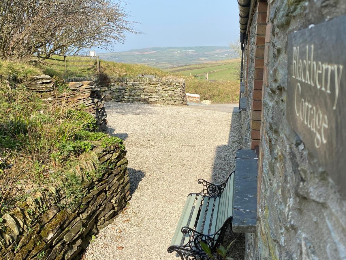 Polrunny Farm Blackberry Cottage - Cornwall Bliss In Sight Of The Sea Boscastle Ngoại thất bức ảnh