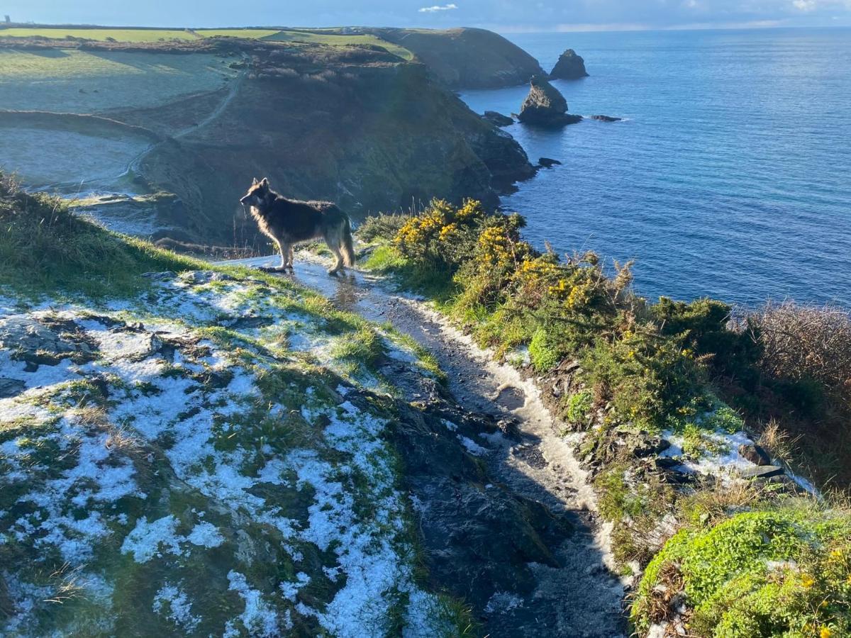 Polrunny Farm Blackberry Cottage - Cornwall Bliss In Sight Of The Sea Boscastle Ngoại thất bức ảnh
