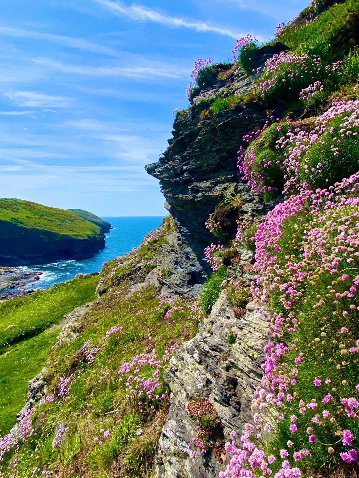 Polrunny Farm Blackberry Cottage - Cornwall Bliss In Sight Of The Sea Boscastle Ngoại thất bức ảnh